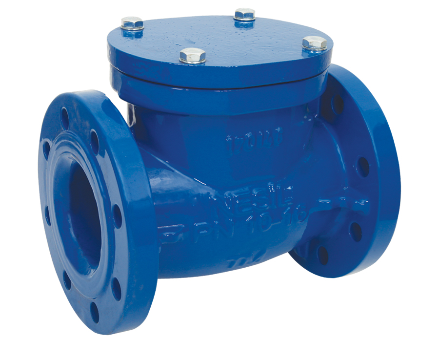 Swing Check Valve